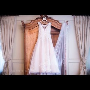 Wedding gown AND cathedral tiered veil
